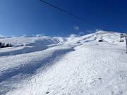 Wide freeriding slopes on the Albanas