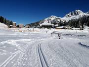 FIS lake cross-country trail