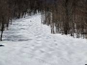 Mogul slope at Whiteface Mountain