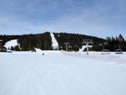 Slopes to the valley station of the chairlift
