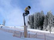 Snowmaking in Lipno