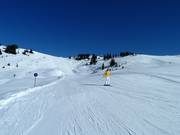 Sonnenheim downhill run