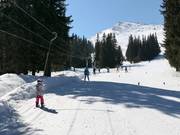 T-bar lift training near Aleko