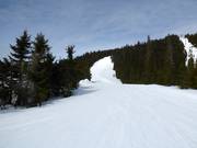 Difficult slope Skogshenget