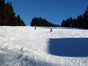 Descent at the Predigtstuhl II drag lift