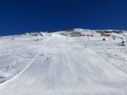 Black Zirbenfall run