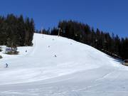 Slope Großberg/Michaela-Kirchgasser-FIS-Strecke