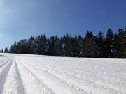 Perfectly groomed slopes in the Notschrei ski area