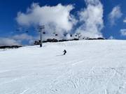 Drover's Dream slope