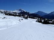 Easy slope Incisa at Passo Campolongo