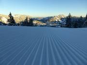 This is how the day begins at the Wiedhagalpe