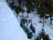 Reforestation areas must not be entered.