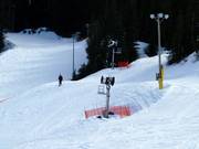 Snow cannon at Cypress Mountain