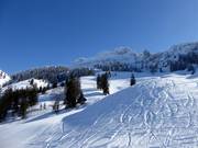 View of the Kampenwand