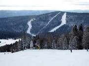 View of the slopes at Zwieselberg