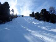 Mogul slope Jochgrimm