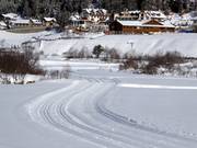 High-altitude cross-country trail in Sulden