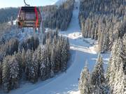 Easy valley run ideal for beginners