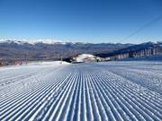 Perfect slope grooming in the La Molina/Masella ski area
