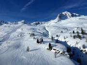 Endless powder slopes on the Diavolezza