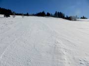 Freeride slope between Kapellenlift and Scheuermattlift