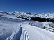 High-altitude trail Platschjoch