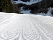 Excellent slope grooming