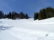 Schwarzenberg descent