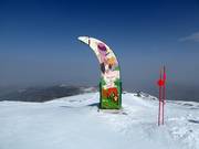 Tip for children  - Cauchiles Fun Trail