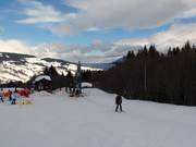 TK du Cabochon - J-bar