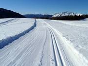 High-altitude cross-country trail at Rolle Pass