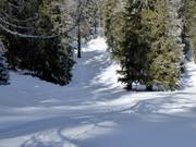 High-altitude trail Schlickeralm: descents and ascents