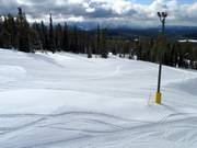 Groomed slope in the Big White ski resort