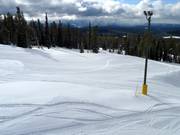 Groomed slope in the Big White ski area