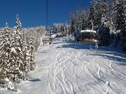 Powder slope below the six-seater chairlift