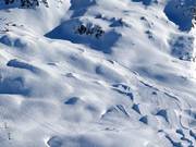 Freeridecross Montafon