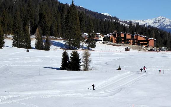 Cross-country skiing Brenta Group – Cross-country skiing Madonna di Campiglio/Pinzolo/Folgàrida/Marilleva