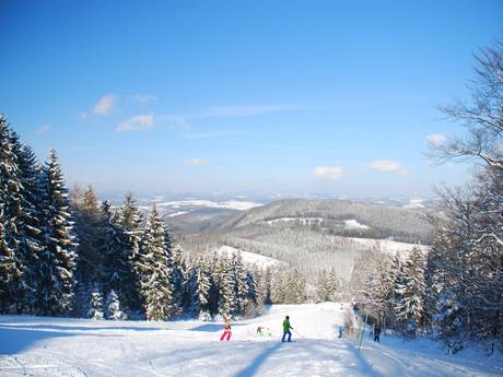 Olpe: environmental friendliness of the ski resorts – Environmental friendliness Hohe Bracht – Lennestadt