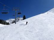 Slope at the Collins chairlift