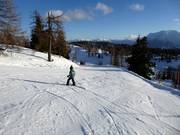 Easy slope Schneiderkogel