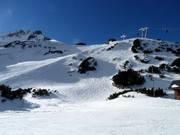 Open ski terrain below the Grubigstein