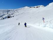 Wide slopes below the Pengelstein in the Kasereckmulde