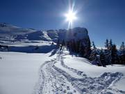 Tip for children  - Triassic Park winter hike