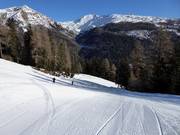Intermediate slope Sinkmoos to the Breiteben valley station