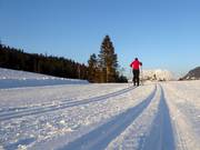Cross-country ski trails in Seefeld