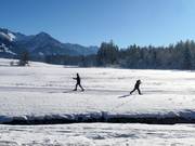 Cross-country ski trails near Ofterschwang