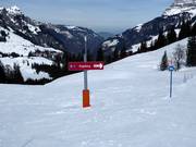 Easy valley run to Engelberg