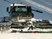 If necessary, it will be freshly groomed again.