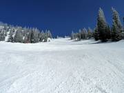 Paradise downhill run