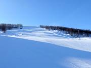 Slope No. 32 Slalombacken